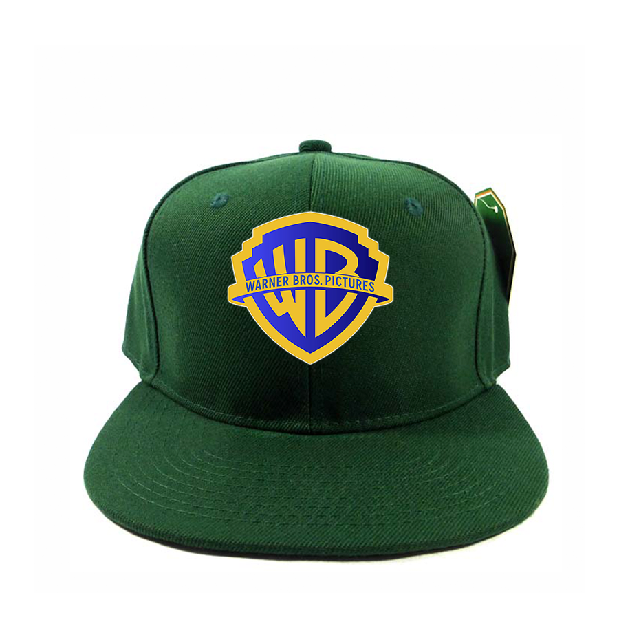 Warner Bros Snapback Hat