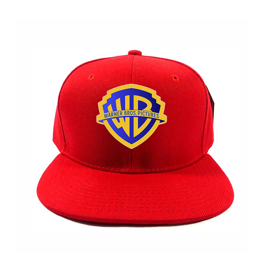 Warner Bros Snapback Hat