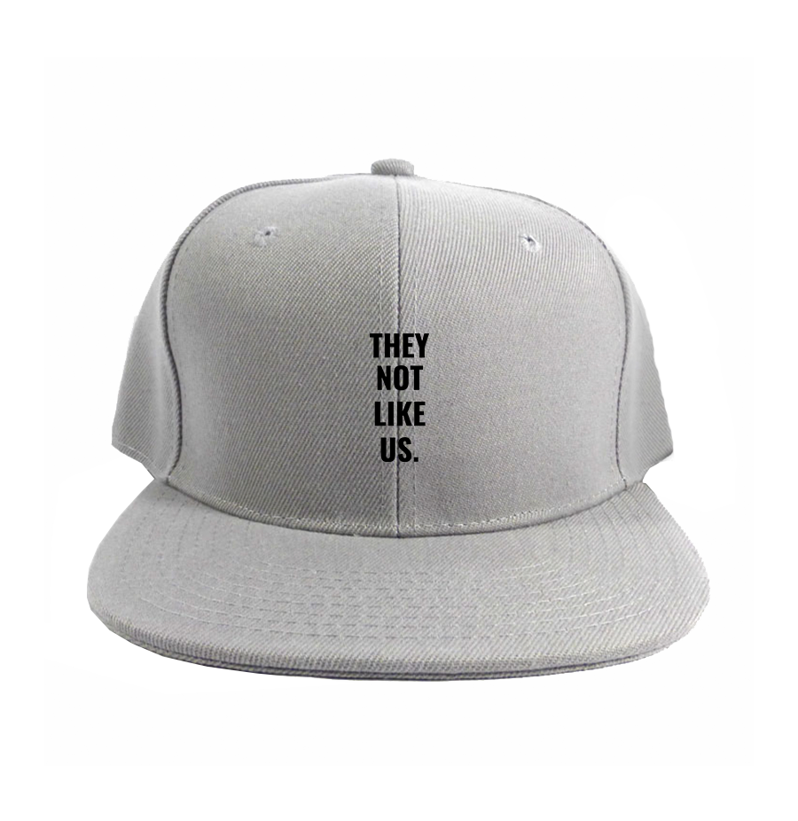 They not like us Snapback Hat