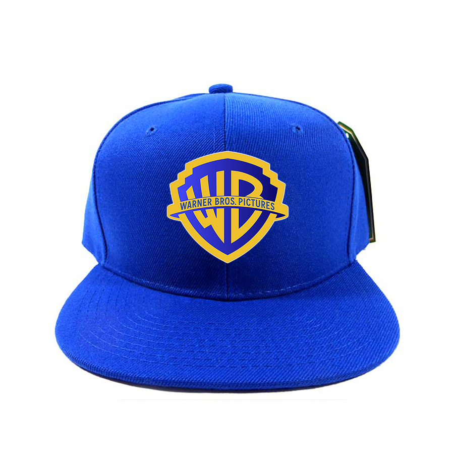 Warner Bros  Snapback Hat