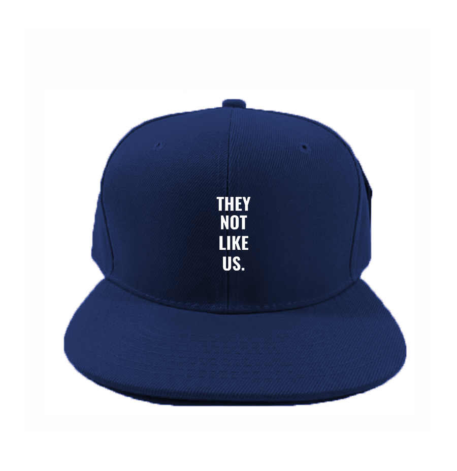 They not like us Snapback Hat