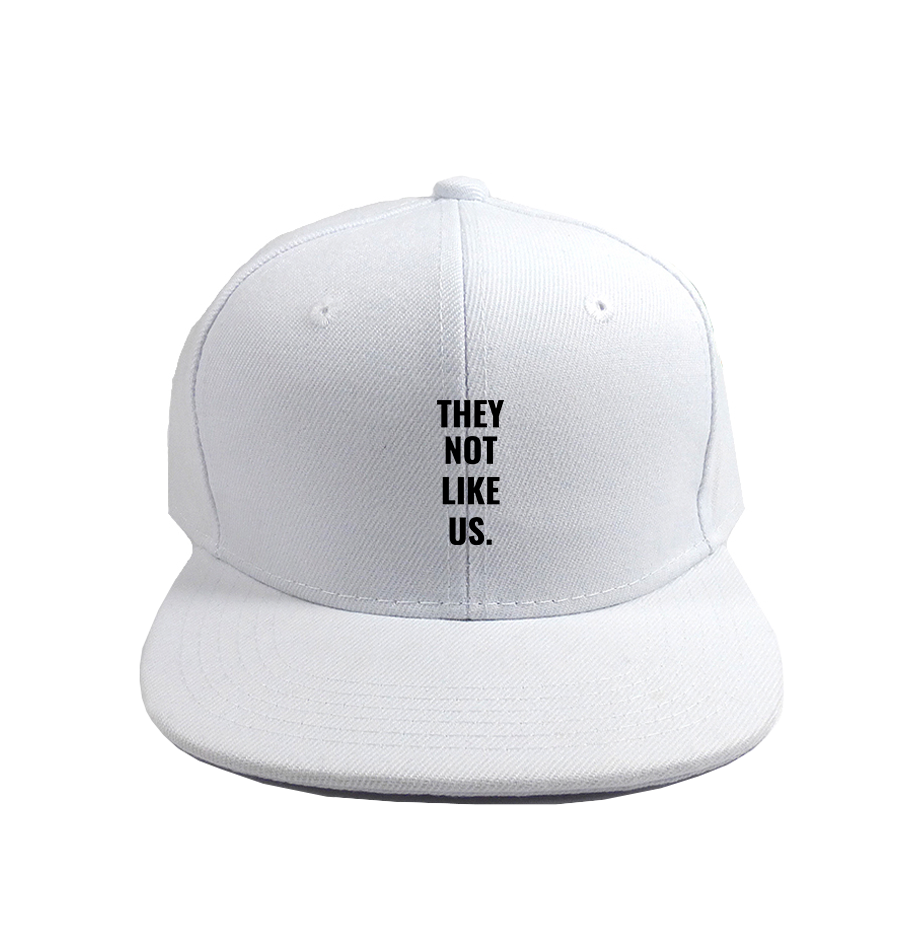 They not like us Snapback Hat